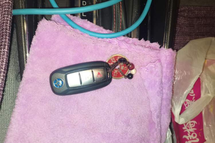 Used Venucia T60 2020 1.6L CVT Smart Drive Version China VI Standard
