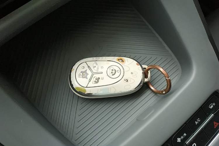 Used Geely Galaxy Geome 2025 310km Youth Edition
