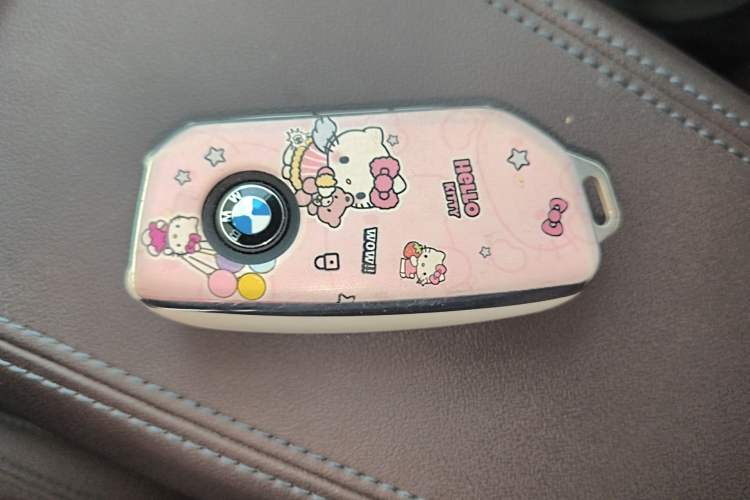 Used BMW X1 2023 sDrive20Li X Design Package Vehicle Key