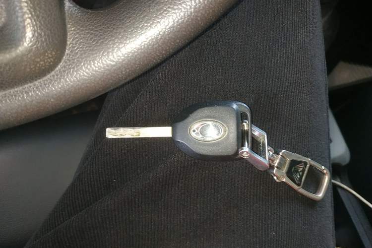 Used ORA Black Cat 2019 351 km Family Edition Interior 1