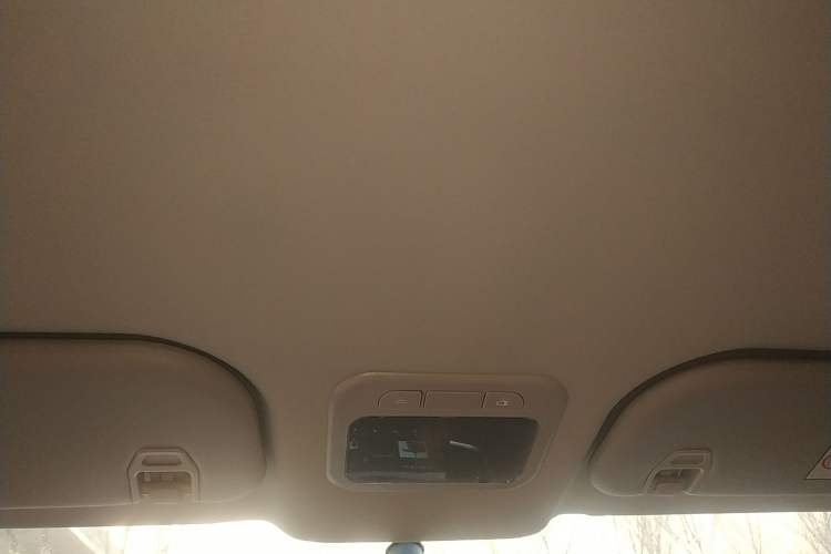 Used FORTHING Lingzhi PLUS 2021 2.0L Manual Comfort Version 7 Seats