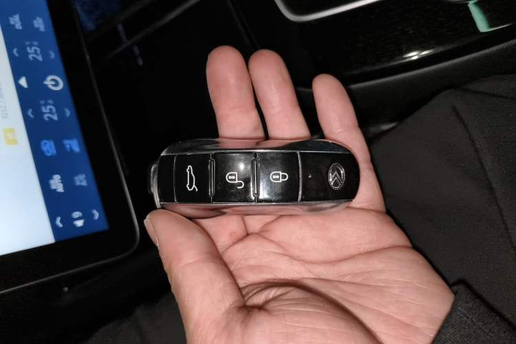 Used SERES SF5 2020 Two-Wheel Drive High-Performance Sports Edition
