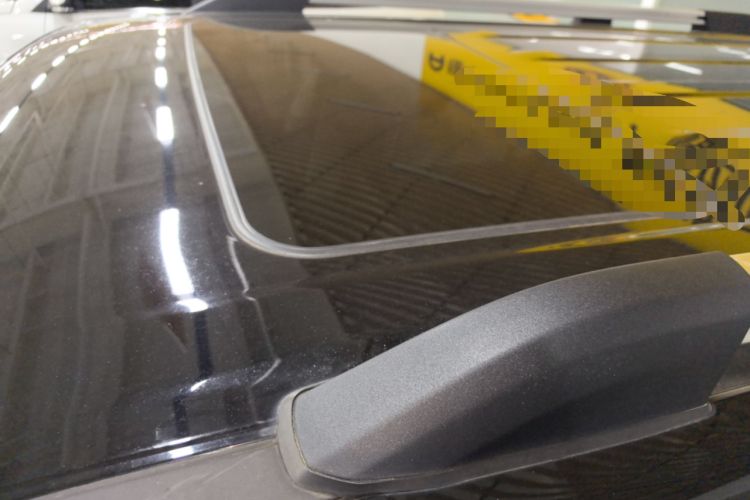 Used Tank 300 2021 City Edition 2.0T—Truly Stylish Roof