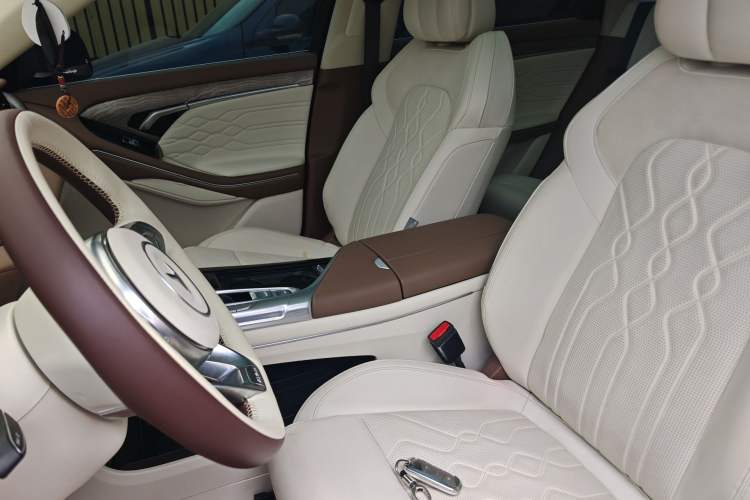 Used VOYAH FREE 2021 Four-Wheel Drive Standard Range-Extended Exclusive Luxury Package
