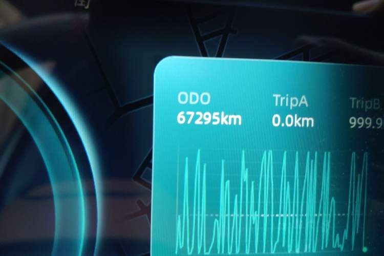 Used WM Motor W6 2021 520km PRO All-Round Edition