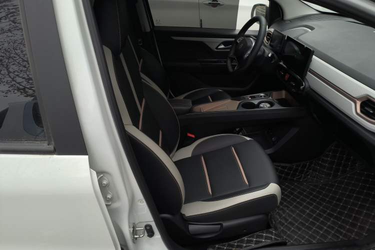 Used SOL E10X 2022 Flower Fairy Style Baby's Breath
