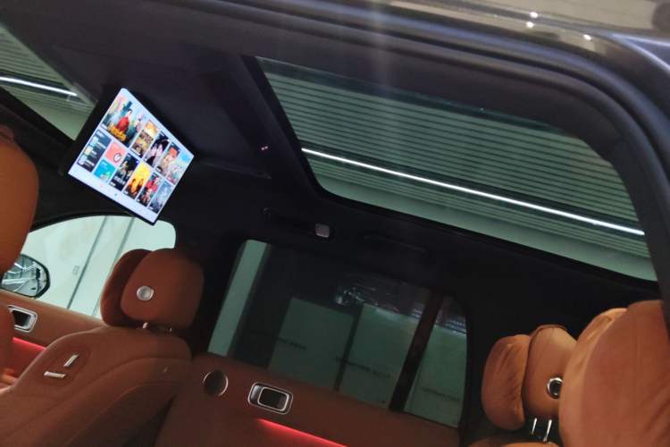 Used Li Auto L9 2022 Max model Headliner