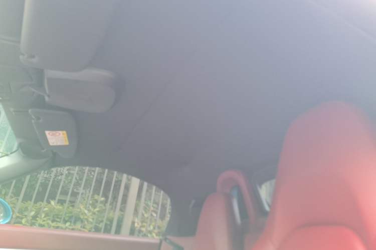 Used Porsche 718 2020 Boxster 2.0T Headliner