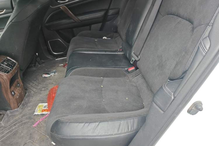 Used Honda Avancier 2017 240TURBO Two-Wheel Drive Elite Edition Left Rear Seat