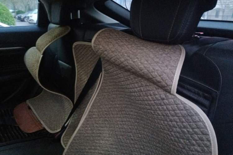 Used Haval F7x 2019 1.5T Two-Wheel Drive Intelligent Technology Edition Left Rear Seat