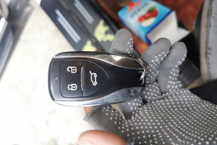 Used Dayun Yuehu 2021 32.85 kWh Two-Wheel-Drive Sprite Version