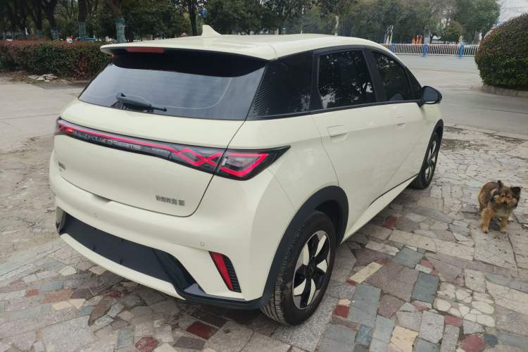 Used BYD Dolphin 2025 420km Free Edition
