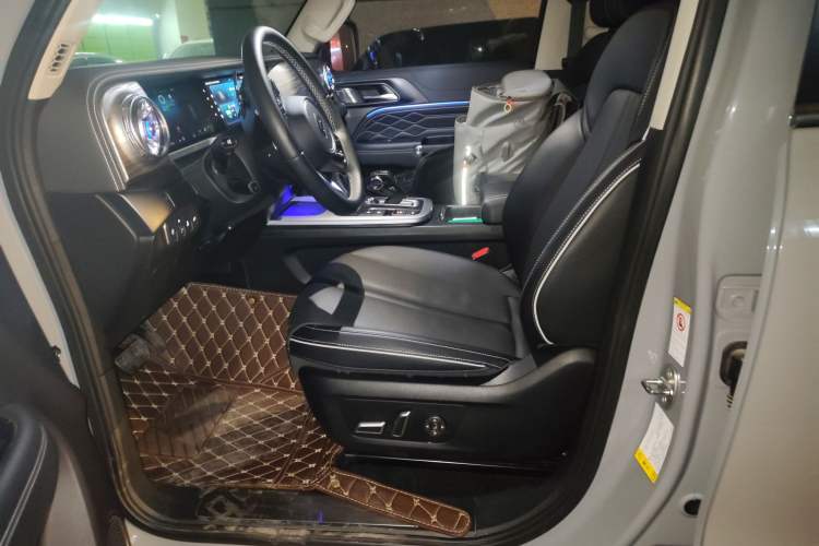 Used Tank 300 2023 City Edition 2.0T Essential Model