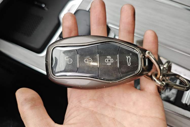 Used Hongqi HS5 2025 2.0T Two-Wheel Drive Flagship Pro Edition