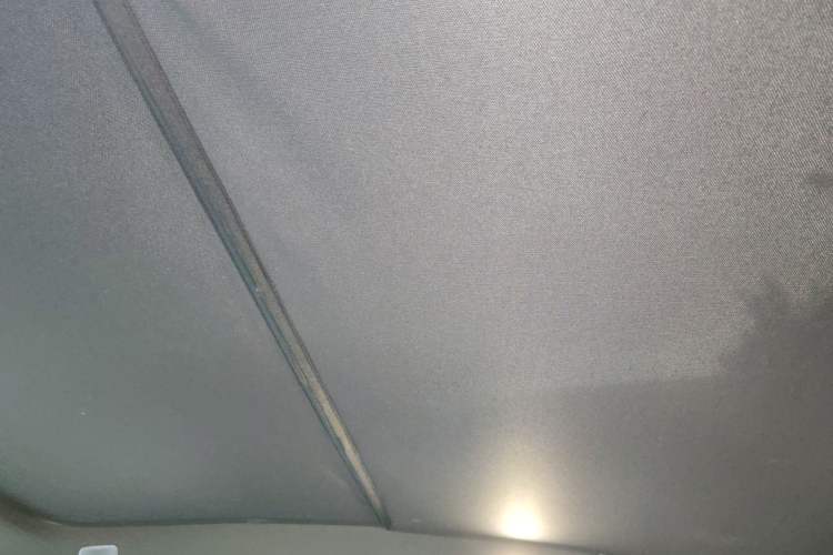 Used ONVO L60 2024 85 kWh All-Wheel Drive Headliner