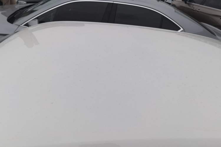 Used Volkswagen Lavida 2019 Lavida Start 1.5L Automatic Trendy Version China VI Standard Roof