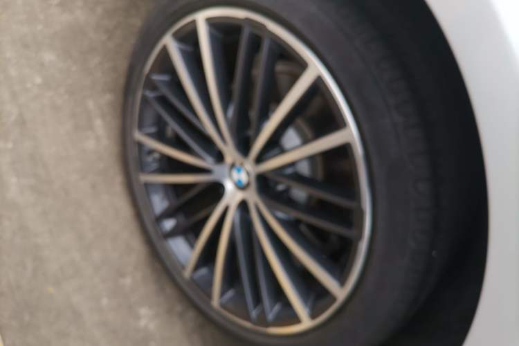 Used BMW 5 Series 2023 530Li Leading Model M Sport Package Exterior 5