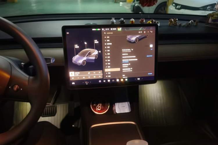 Used Tesla Model Y 2021 Standard Range Rear-Wheel Drive Version
