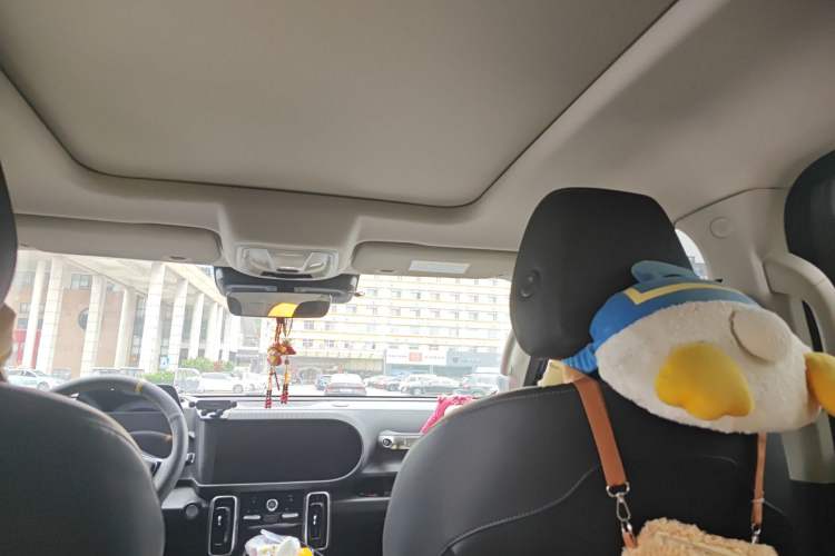 Used Haval DARGO 2021 1.5T DCT Two-Wheel Drive Border Collie Edition Headliner