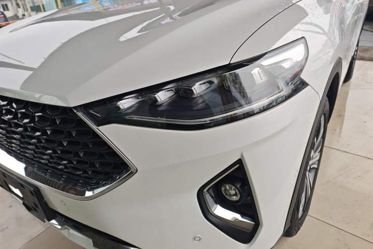 Used Haval F7 2020 2.0T Two-Wheel Drive i-Van