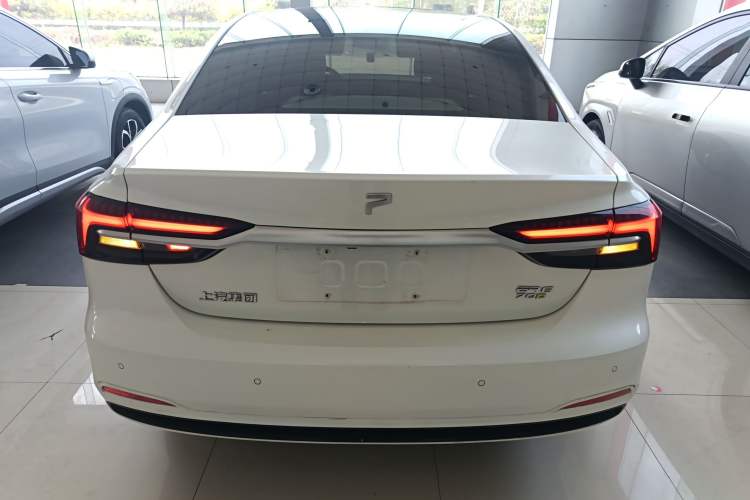 Used Rising ER6 2021 New Dynamic Edition 620km Smart Drive Version