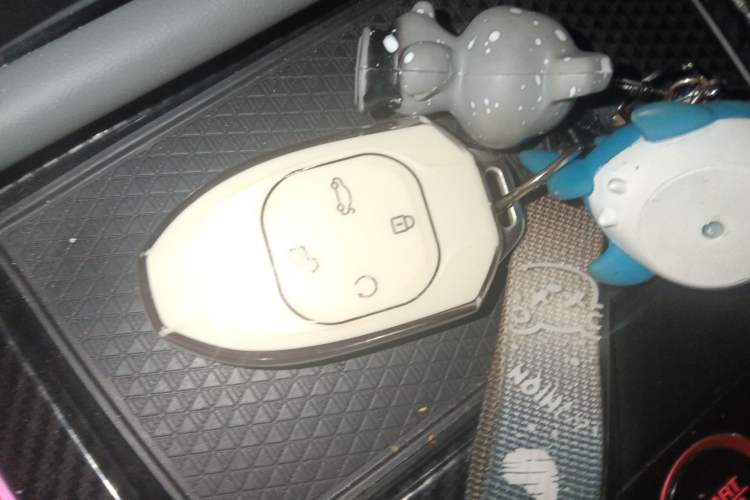 Used GAC Trumpchi EMPOW 2021 270T DCT J16 Version Vehicle Key