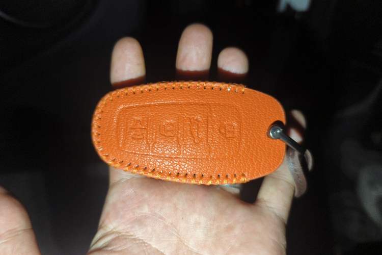 Used ORA Black Cat 2022 351 km Range Luxury Version Lithium-Ion Battery
