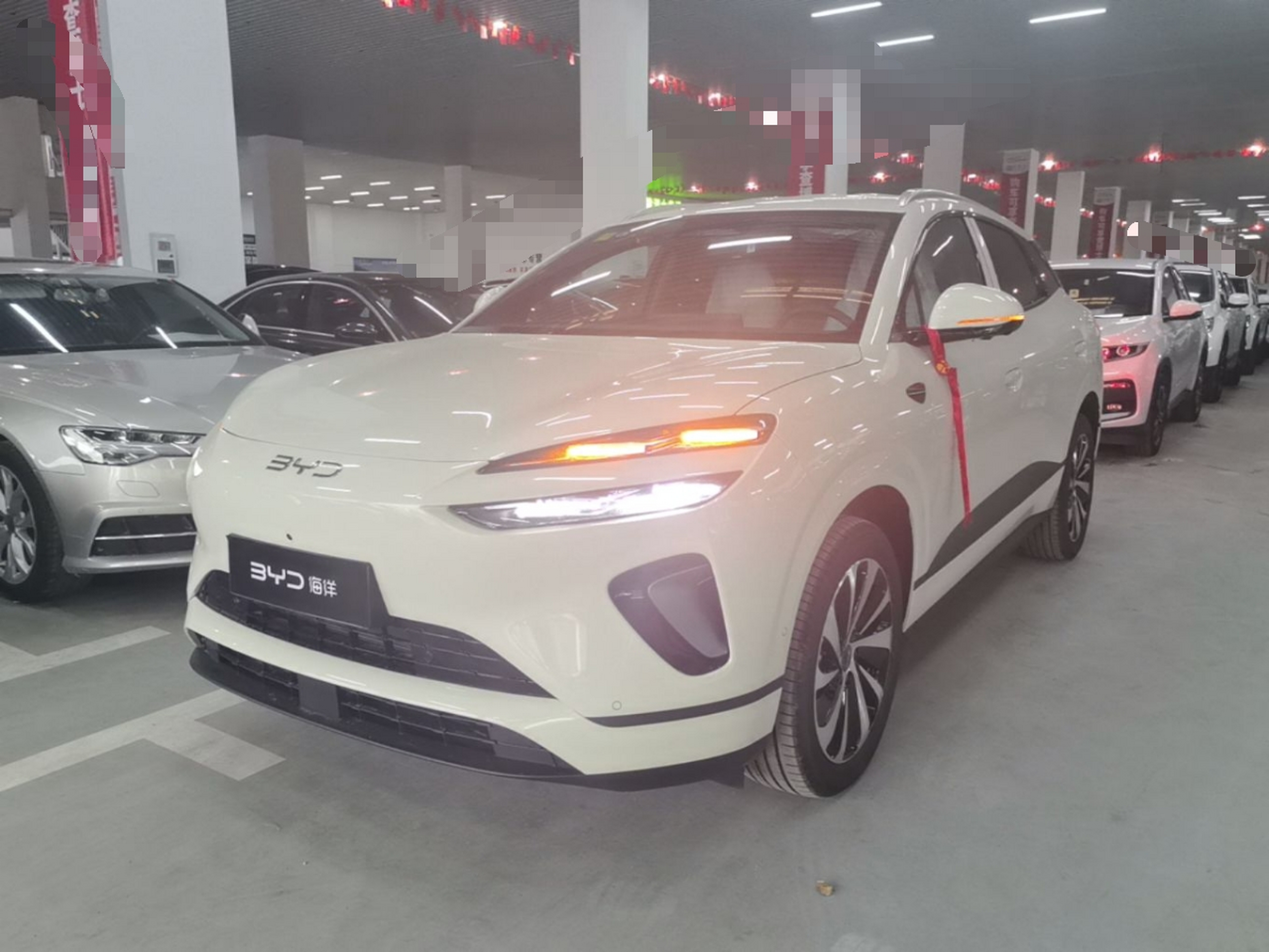 Parte inferior delantera