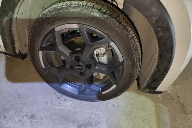 Used BYD Seagull 2025 305 km Free Version