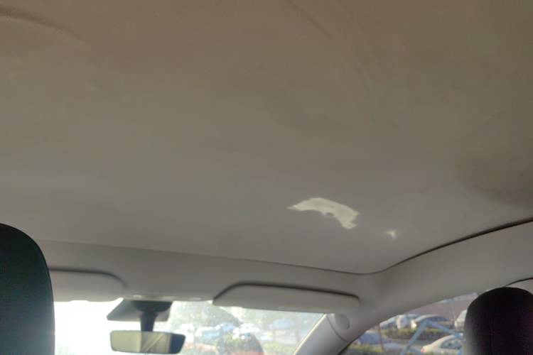 Used Tesla Model Y 2022 Revised Version Rear-Wheel Drive Headliner