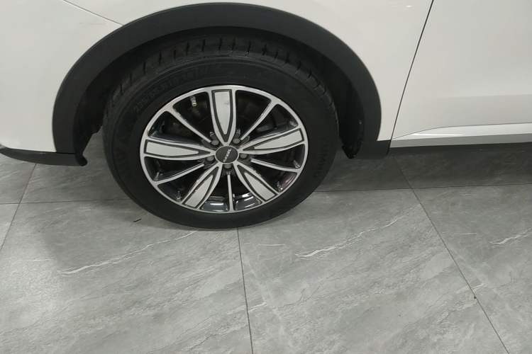 Used Haval H6 2021 1.5T Automatic Champion Edition