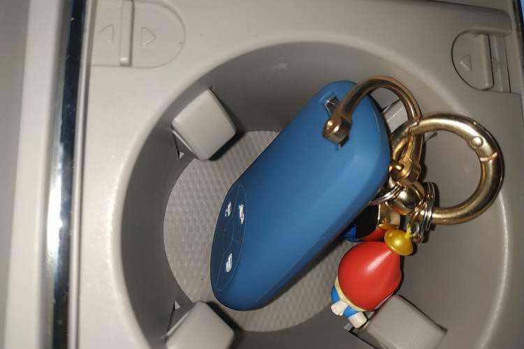 Used ORA Ballet Cat 2022 401 km Nutcracker Edition
