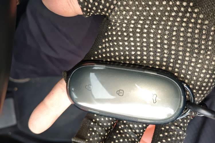 Used Li Auto L9 2022 Max model
