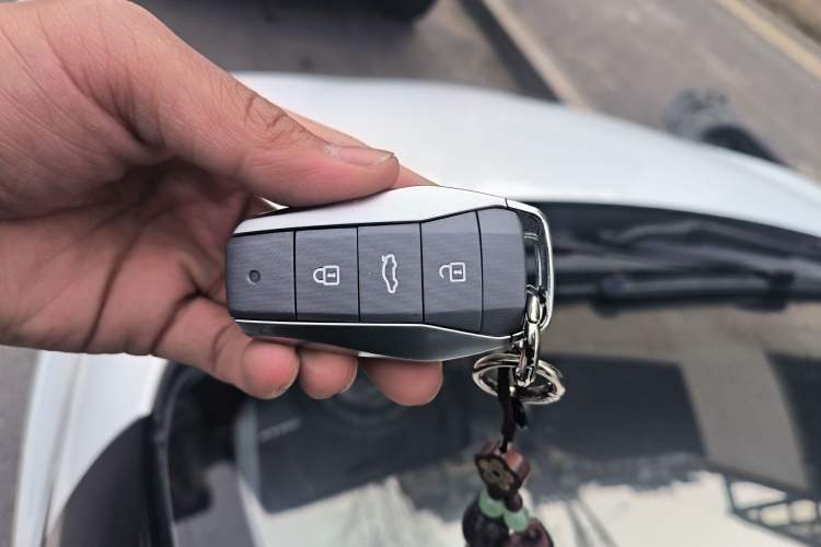 Used SOL E10X 2022 Flower Fairy Design Sunflower