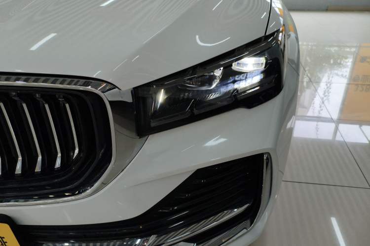 Used Geely Auto Monjaro L 2024 2.0TD High-Power Automatic Two-Wheel Drive Skyline Edition