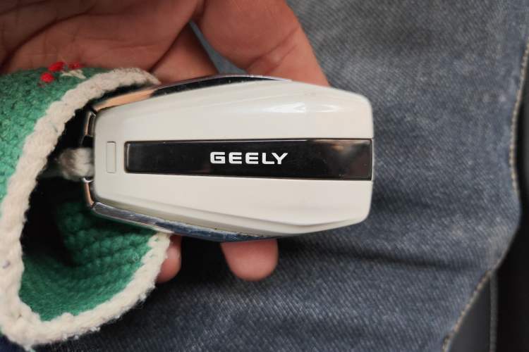 Used Geely Auto Preface 2023 2.0TD Luxury Version
