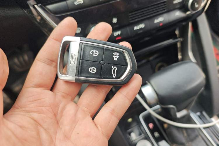 Used BORGWARD BX7 2018 2.0T TS Four-Wheel Drive Luxury Version China V
