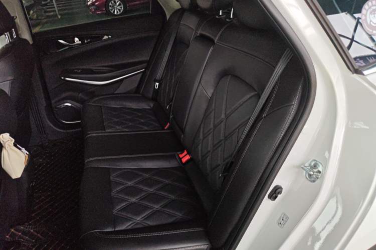 Used CHANGAN Ruicheng CC 2022 Blue Whale Edition 1.5T DCT Luxury Model Left Rear Seat