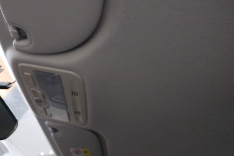 Used SOL E10X 2022 Flower Fairy Style Baby's Breath Headliner