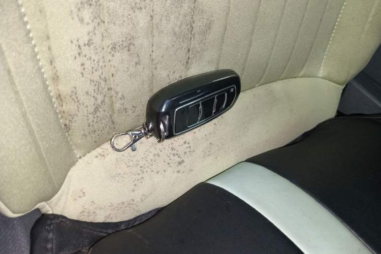 Used Geely Auto Panda 2023 Panda Mini 200km Endurance Bear Interior 1