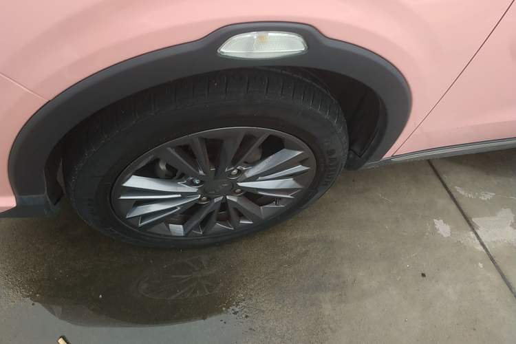 Used NETA V 2021 Long-Range Industry Custom Edition
