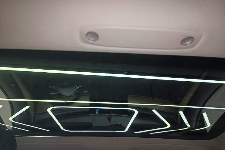 Used Tesla Model 3 2021 Performance High-Performance All-Wheel-Drive Version Headliner