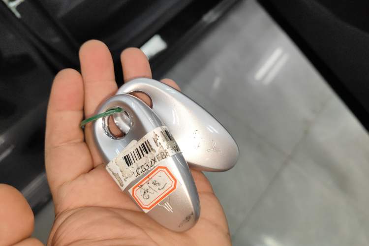 Used VOYAH COURAGE 2024 Four-Wheel Drive Global Edition
