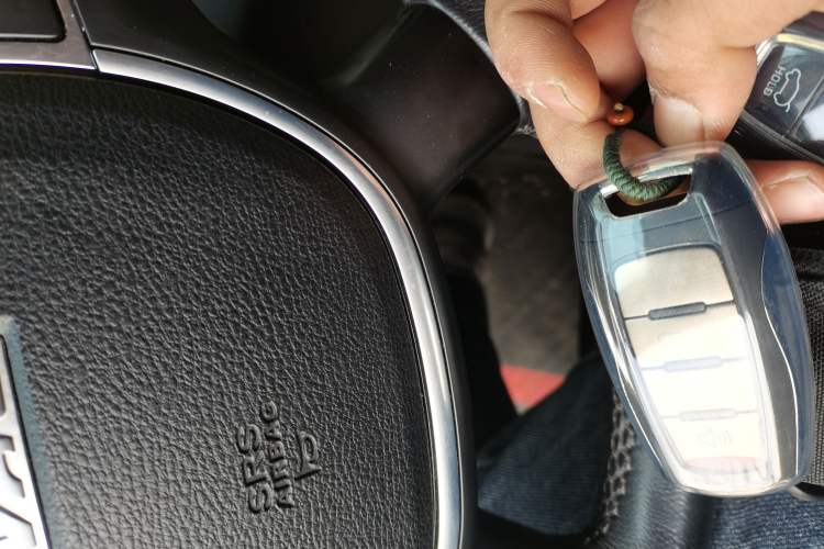 Used Haval H9 2017 2.0T Gasoline 4x4 Luxury 7-Seater