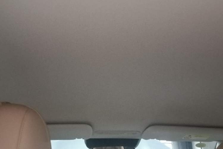 Used AION i60 2026 Model 530 Standard Edition Headliner