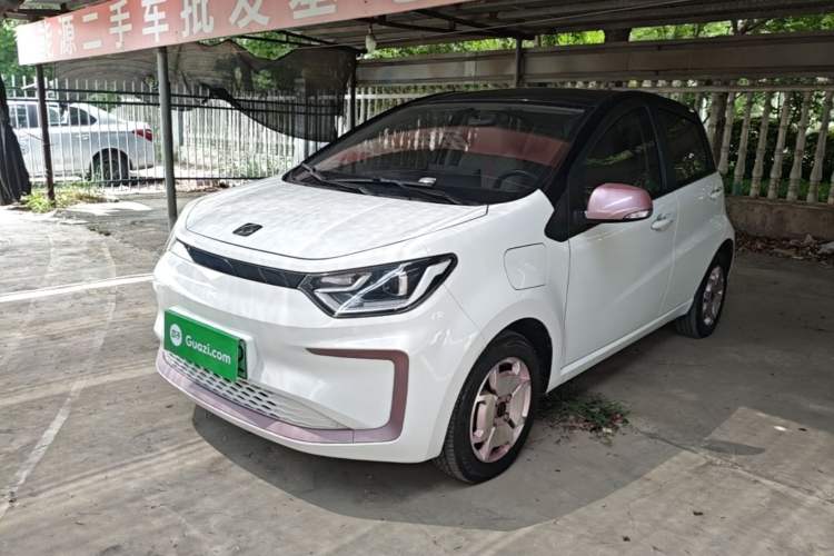 Used SOL E10X 2022 Flower Fairy Style Baby's Breath