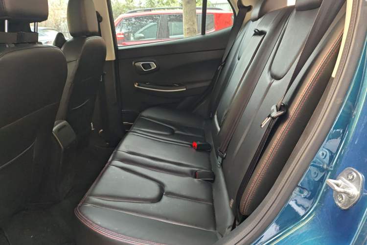 Used Dayun Yuehu 2021 32.85 kWh Two-Wheel-Drive Sprite Version Left Rear Seat