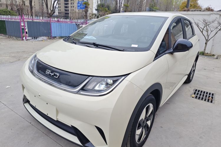 Used BYD Dolphin 2025 420km Free Edition