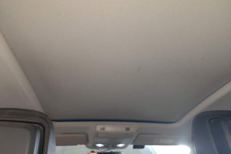 Used Volkswagen Magotan 2018 330TSI DSG Advanced Model Headliner