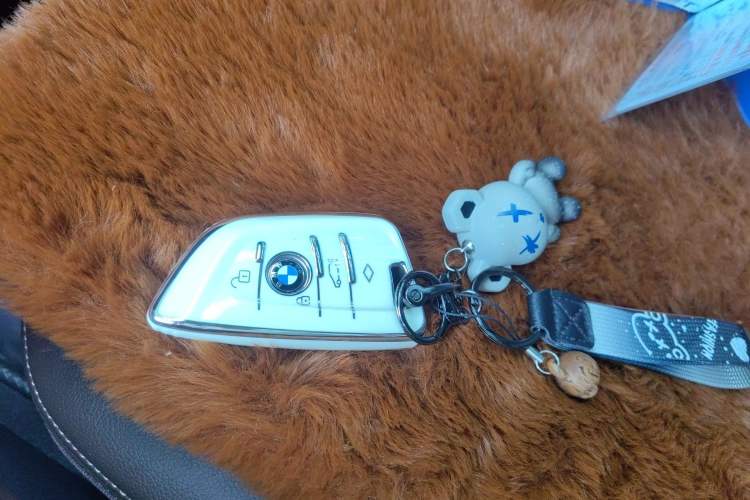 Used BMW 5 Series 2023 530Li Leading Model M Sport Package
